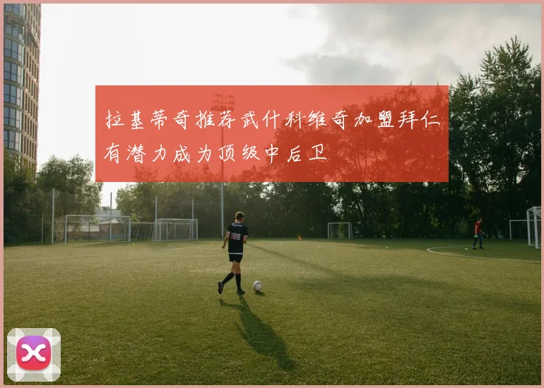 拉基蒂奇推荐武什科维奇加盟拜仁有潜力成为顶级中后卫