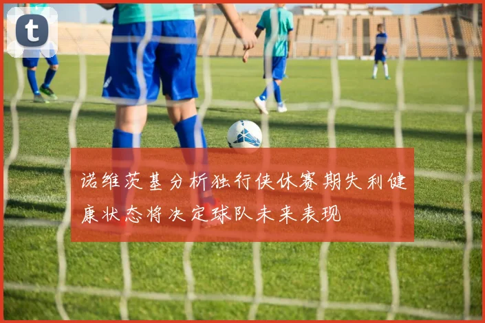 诺维茨基分析独行侠休赛期失利健康状态将决定球队未来表现