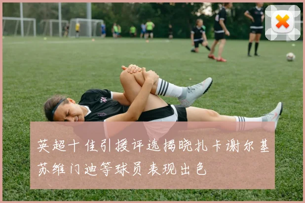 英超十佳引援评选揭晓扎卡谢尔基苏维门迪等球员表现出色