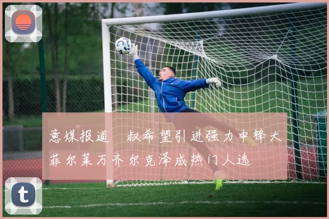 意媒报道囧叔希望引进强力中锋大菲尔莱万齐尔克泽成热门人选
