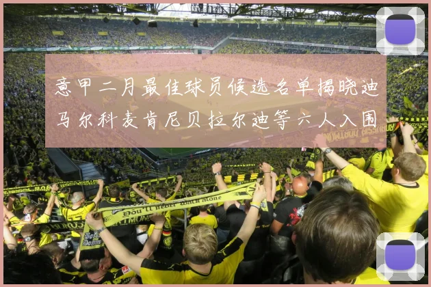 意甲二月最佳球员候选名单揭晓迪马尔科麦肯尼贝拉尔迪等六人入围