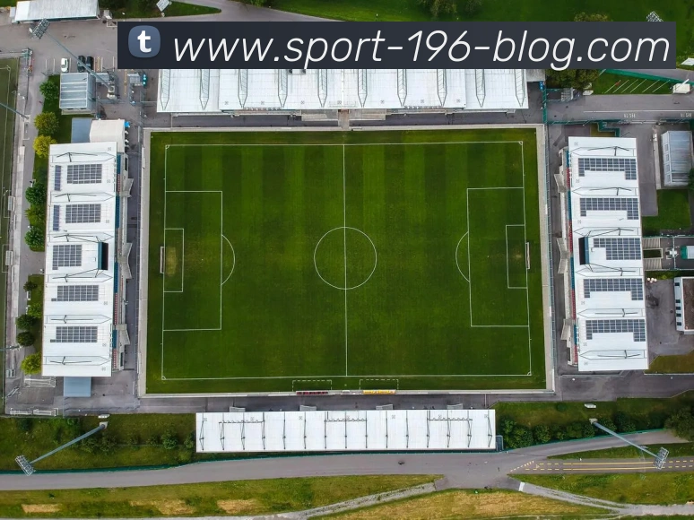 App Interface Preview