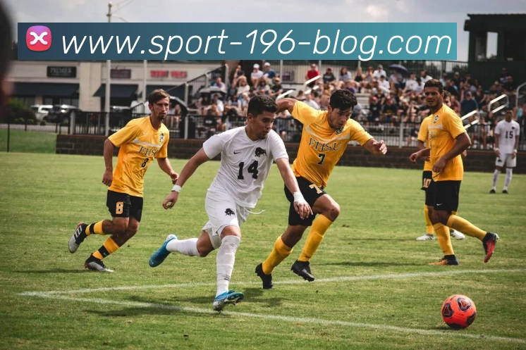 196体育APP 封面图